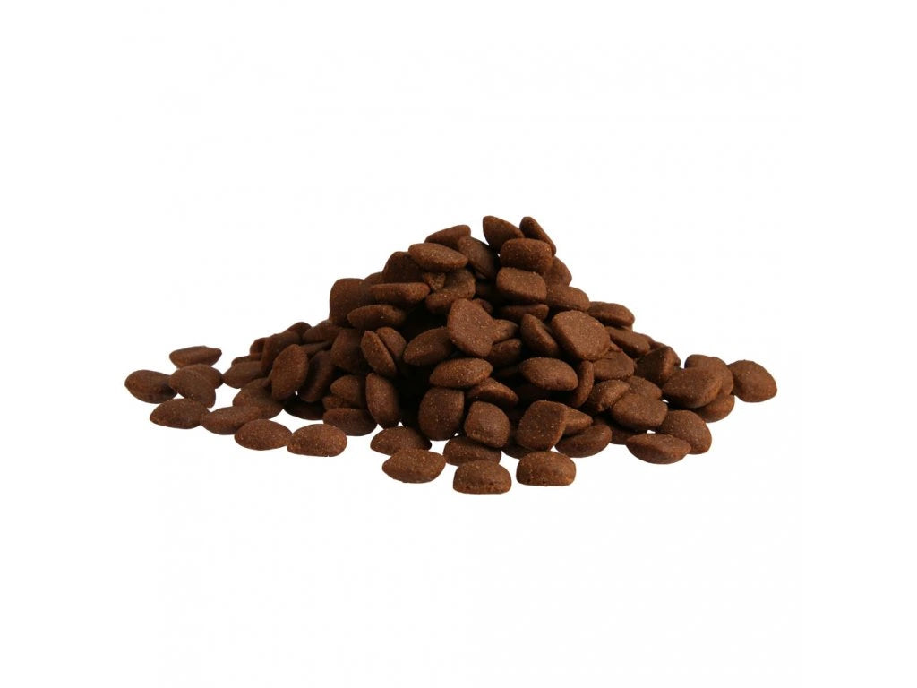 Fitmin For Life Adult Large Breed krmivo pre psov 12 kg