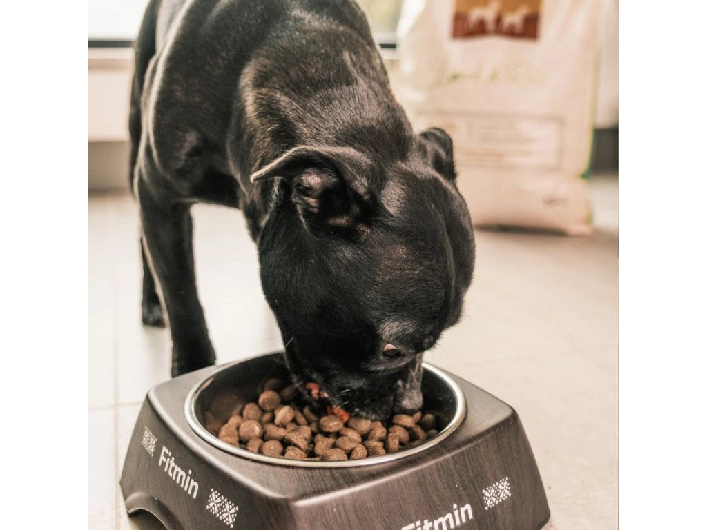 Fitmin Medium Maxi Lamb & Rice krmivo pre psov 12 kg