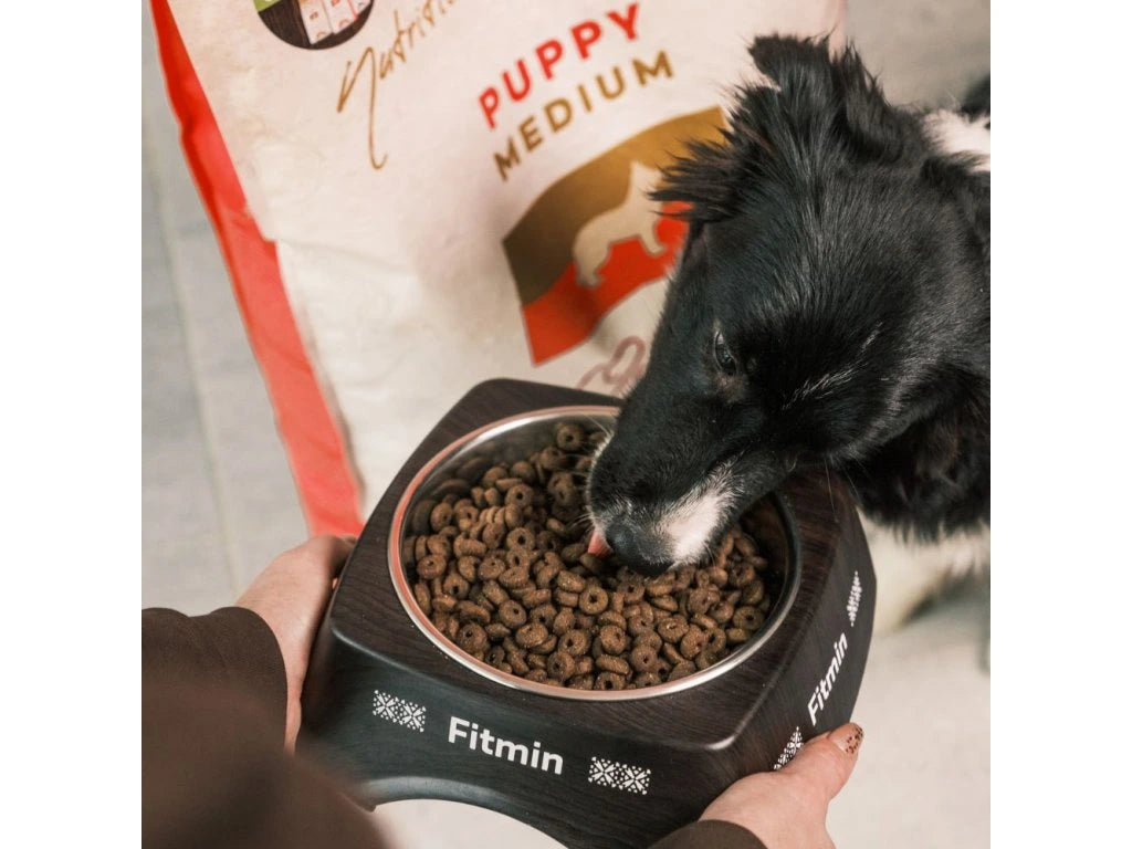 Fitmin Medium Puppy krmivo pre pre šteňatá 12 kg