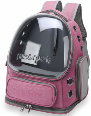 batohy pre zvieratá