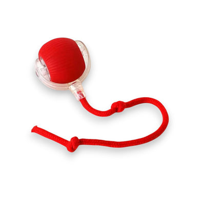 Red ribbed sphere toy with clear plastic housing and a red braided cord with knots