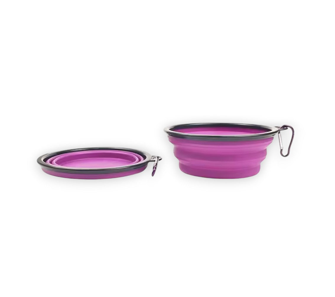 Pink collapsible travel dog bowl, lightweight and durable for outdoor adventures